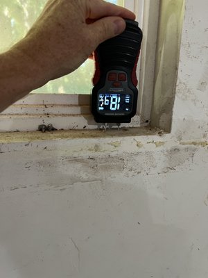 Garage Mold Inspection - This was an inspection of an old garage that was used as a grow space. Garage Mold Inspection - This was an inspection of an old garage that was used as a grow space.