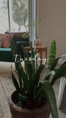 waxing vlog - This is a waxing vlog - This is a