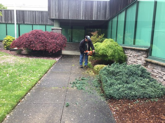 Commercial buildings - At Triple J landscape we know how important you're commercial building is to you, so we would like to maintain it clean and representable with all the care that it needs. Commercial buildings - At Triple J landscape we know how important you're commercial building is to you, so we would like to maintain it clean and representable with all the care that it needs.