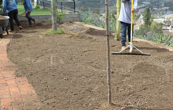 Backyard Turf Installation - This job was done in La Mesa by our amazing team. Same day installation.