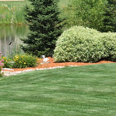 Yard Cleaning - Don't let overgrowth and underbrush take over your property. Tendero Tree Trimming can take care of brush removal services on your site. We have the equipment and expertise needed to properly remove the unwanted vegetation taking over your yard.
We can clear away:
Underbrush
Shrubs
Trash
If there's anything cluttering up your yard that you want to get rid of, we've got you covered. Yard Cleaning - Don't let overgrowth and underbrush take over your property. Tendero Tree Trimming can take care of brush removal services on your site. We have the equipment and expertise needed to properly remove the unwanted vegetation taking over your yard.
We can clear away:
Underbrush
Shrubs
Trash
If there's anything cluttering up your yard that you want to get rid of, we've got you covered.