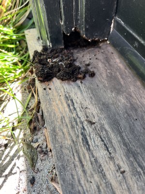 Door Threshold Rebuild - Oak Threshold rebuild Door Threshold Rebuild - Oak Threshold rebuild