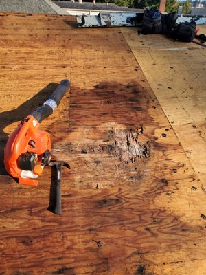 Dry rot repair. - Replacing just the shingles without inspecting or replacing damaged decking is like putting a new roof on a weak foundation. It might look great at first, but problems will show up sooner rather than later. Dry rot repair. - Replacing just the shingles without inspecting or replacing damaged decking is like putting a new roof on a weak foundation. It might look great at first, but problems will show up sooner rather than later.