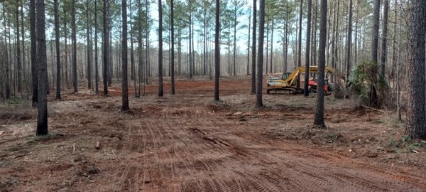 land clearing, Driveway installation, Homesite prep - This is a homesite we cleared the land of all trees and stumps, and cut in a 200' driveway with a culvert pipe installed at creek bed. We did finish the driveway with nice 57 stone. land clearing, Driveway installation, Homesite prep - This is a homesite we cleared the land of all trees and stumps, and cut in a 200' driveway with a culvert pipe installed at creek bed. We did finish the driveway with nice 57 stone.
