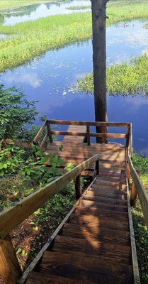 Another stunning cabin and dock wash by TBL Power Washing! - 🚨 Transformation Alert! 🚨
Another stunning cabin and dock wash by TBL Power Washing! 🌊✨ Look at the incredible before and after! Our pressure washing services bring back that fresh, clean look and protect your outdoor spaces.
👉 Whether it’s your cabin, dock, or any exterior surface, we’ve got you covered!
💧 Contact TBL Power Washing today for all your washing needs. We deliver top-notch results with every job.
📞 DM or call us at 315-796-3105 to schedule your appointment now! Another stunning cabin and dock wash by TBL Power Washing! - 🚨 Transformation Alert! 🚨
Another stunning cabin and dock wash by TBL Power Washing! 🌊✨ Look at the incredible before and after! Our pressure washing services bring back that fresh, clean look and protect your outdoor spaces.
👉 Whether it’s your cabin, dock, or any exterior surface, we’ve got you covered!
💧 Contact TBL Power Washing today for all your washing needs. We deliver top-notch results with every job.
📞 DM or call us at 315-796-3105 to schedule your appointment now!