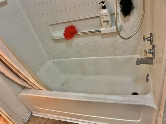 Bathtub Deep Clean - Went to do a general cleaning but ended up doing a general cleaning! Can you tell the difference???