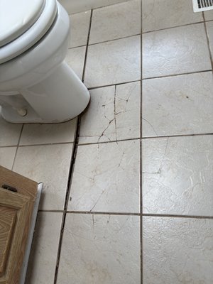 Bathroom Floor - Bathroom floor caving in due to water damage. Leak was repaired, subfloor was replaced, tile replaced, and finished with all new baseboards and trim. Bathroom Floor - Bathroom floor caving in due to water damage. Leak was repaired, subfloor was replaced, tile replaced, and finished with all new baseboards and trim.