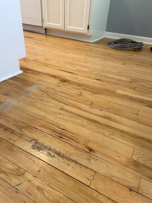 Kitchen Remodel - Beautiful transformation of maple 1st grade flooring! Sanded and Refinished.