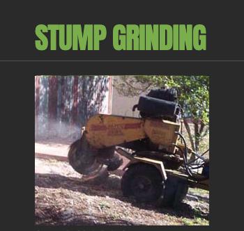Stump Grinding - We are the stump grinding pros. We pride ourselves on removal of stumps with zero or little impact to the surrounding areas.