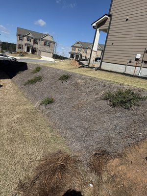 Mulch and pinestraw bed construction - This customer was tired of the old pine straw all around the house, so they opted to bring in some mulch beds for color and freshen up the pine straw embankment.