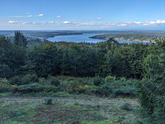 Maintenance pruning - Maintenance pruning in Issaquah, WA - Lake Sammamish view. Maintenance pruning - Maintenance pruning in Issaquah, WA - Lake Sammamish view.