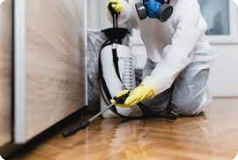 Home Fogging & Disinfecting - Home fogging is a way to quickly disinfect every inch of the interior of your home. Our professional fogger machine sprays a fine fog throughout the house. We use Microban, which is 100% safe and incredibly effective in eliminating odors, mold, bacteria and various other bothersome smells.

Our home fogging pricing depends on house size and availability. Please call us for more details or to get a quote.