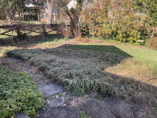 Project C - Here is a project we did where the customer wanted to liven up her space, with the overgrown liriope she was not getting the environmental impact she wanted. Her landscape is now home to a wide assortment of birds, pollinators, butterflies and much more! Project C - Here is a project we did where the customer wanted to liven up her space, with the overgrown liriope she was not getting the environmental impact she wanted. Her landscape is now home to a wide assortment of birds, pollinators, butterflies and much more!