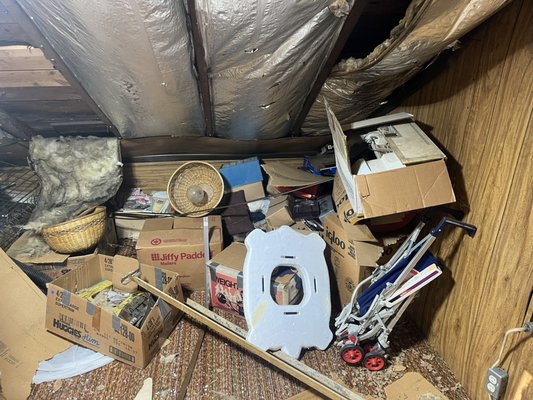 Attic clean out - Attic clean out Attic clean out - Attic clean out