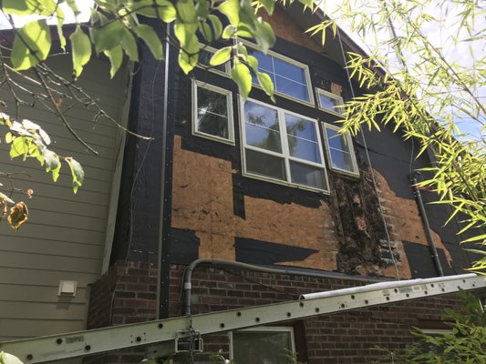 Water damage from poorly sealed windows and trim - Water damage found after removal of old siding. This house really needed an upgrade to Hardie Water damage from poorly sealed windows and trim - Water damage found after removal of old siding. This house really needed an upgrade to Hardie