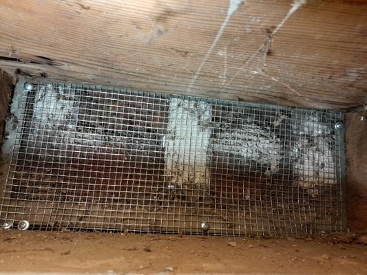 Rodent/Exclusion - We serve a vast variety of rodent exclusion work : screening, concrete, trapping, sanitizing/cleaning and living rodent free. Please contact Z Best via phone. Rodent/Exclusion - We serve a vast variety of rodent exclusion work : screening, concrete, trapping, sanitizing/cleaning and living rodent free. Please contact Z Best via phone.