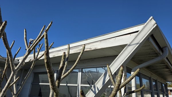 Rotten wood fascia replacing and paint - Replacing of 2 rotten wood fascia 12 feet each with the new ones, prime it with Kilz and paint. Rotten wood fascia replacing and paint - Replacing of 2 rotten wood fascia 12 feet each with the new ones, prime it with Kilz and paint.