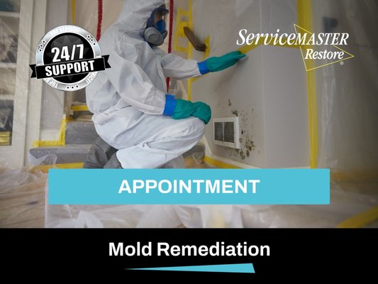 Mold Remediation - ServiceMaster Restoration by Simons – Trusted Mold Remediation Provider in Chicago area
What Is Mold Remediation
Mold remediation is the process of identifying, removing, cleaning, sanitizing, and repairing any areas affected by mold growth within a building. Unlike simple mold removal, remediation aims to address not only the visible mold but also the underlying causes that led to its growth and ensuring steps are in place for mold growth prevention.
Why Is Mold In My House
According to the Center For Disease Control And Prevention (CDC), mold is a common household issue and can grow in as little as 48 hours when excessive moisture is present. It can cause structural damage, contribute to allergies, and affect indoor air quality. Whether the unwelcome mold is the result of water damage or high indoor humidity, residential mold remediation services play a vital role in safeguarding the home environment. Mold Remediation - ServiceMaster Restoration by Simons – Trusted Mold Remediation Provider in Chicago area
What Is Mold Remediation
Mold remediation is the process of identifying, removing, cleaning, sanitizing, and repairing any areas affected by mold growth within a building. Unlike simple mold removal, remediation aims to address not only the visible mold but also the underlying causes that led to its growth and ensuring steps are in place for mold growth prevention.
Why Is Mold In My House
According to the Center For Disease Control And Prevention (CDC), mold is a common household issue and can grow in as little as 48 hours when excessive moisture is present. It can cause structural damage, contribute to allergies, and affect indoor air quality. Whether the unwelcome mold is the result of water damage or high indoor humidity, residential mold remediation services play a vital role in safeguarding the home environment.