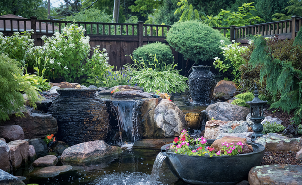 Residential & Commercial Landscape Services - Proud members of The Professional Landcare Network.
NALP (National Association of Landscape Professionals) is an international organization serving lawn care professionals, exterior maintenance contractors, installation/design/build professionals, and interiorscapers. It emerged when PLCAA and ACLA united to form a more comprehensive association. Residential & Commercial Landscape Services - Proud members of The Professional Landcare Network.
NALP (National Association of Landscape Professionals) is an international organization serving lawn care professionals, exterior maintenance contractors, installation/design/build professionals, and interiorscapers. It emerged when PLCAA and ACLA united to form a more comprehensive association.