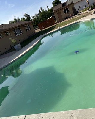Green to Clean - Done by Royal Pool Service!👍 Green to Clean - Done by Royal Pool Service!👍