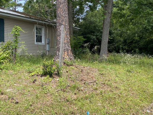 New customer property clean up - This property had been let go for a while and I was called in to clean it up and make it look good again. Took a while but you can see the shrubs and trees again and the lawn looking good. New customer property clean up - This property had been let go for a while and I was called in to clean it up and make it look good again. Took a while but you can see the shrubs and trees again and the lawn looking good.