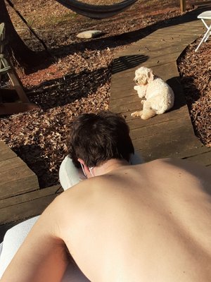 Mobile Massage- Outdoor Massage - In-Home Massages available Mobile Massage- Outdoor Massage - In-Home Massages available