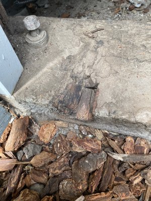 Rodent Proofing Crawl Space - We truly believe that it ia better to prevent a problem than it is to sell you the solution later. As part of our recurring service programs we do preventative pest proofing and exclusion. This customer was no exception. Rodent Proofing Crawl Space - We truly believe that it ia better to prevent a problem than it is to sell you the solution later. As part of our recurring service programs we do preventative pest proofing and exclusion. This customer was no exception.