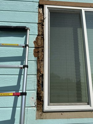Exterior siding and window trim dry rot repair - This was an exterior siding and trim dry rot repair