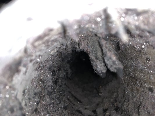 Dryer vent cleaning in New Orleans uptown area! - This is a basic dryer vent cleaning take up to a hour some times 2. By not having this cleaned once a year can become a fire hazard and also burn up your dryer Dryer vent cleaning in New Orleans uptown area! - This is a basic dryer vent cleaning take up to a hour some times 2. By not having this cleaned once a year can become a fire hazard and also burn up your dryer