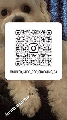 Barker Shop Dog Grooming - Professional dog grooming Barker Shop Dog Grooming - Professional dog grooming