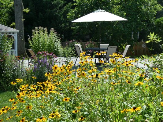 Project B - The client was looking for a fully native pollinator garden for their full sun portion of their backyard. We designed the landscape to have varying bloom colors throughout the four seasons. Their home now has high wildlife supporting birds, pollinators, hummingbirds and other neighborhood wildlife. Project B - The client was looking for a fully native pollinator garden for their full sun portion of their backyard. We designed the landscape to have varying bloom colors throughout the four seasons. Their home now has high wildlife supporting birds, pollinators, hummingbirds and other neighborhood wildlife.