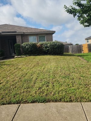 Landscape design and lawn maintenance - Landscape design, lawn maintenance, and mulch installation