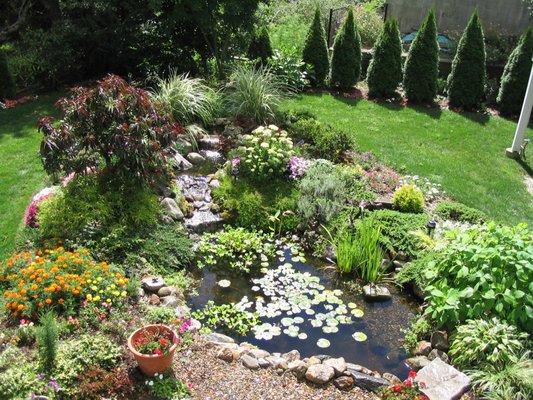 Water Feature in Westport, CT - This was a 11' x 16' pond project with a 15' stream. TJB-INC designed and built the wate rfeature and then planted the pond and surrounding embankments. So much nicer than the flat grass that this replaced. Water Feature in Westport, CT - This was a 11' x 16' pond project with a 15' stream. TJB-INC designed and built the wate rfeature and then planted the pond and surrounding embankments. So much nicer than the flat grass that this replaced.