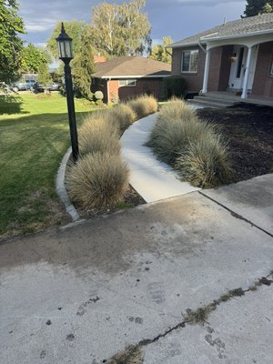 Ornamental Grass Removal & Cleanup - The customer wanted these overgrown ornamental grasses gone and the front yard opened back up. We removed them, hauled away the debris, and cleaned up the landscape beds for a simple, clean finish. Ornamental Grass Removal & Cleanup - The customer wanted these overgrown ornamental grasses gone and the front yard opened back up. We removed them, hauled away the debris, and cleaned up the landscape beds for a simple, clean finish.