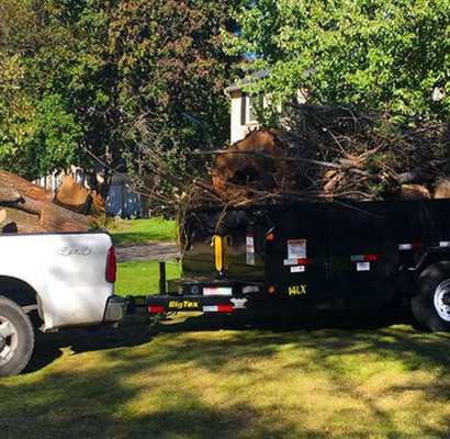 Debris Removal & Hauling - Hurricane season is just around the corner. Let Womack's Tree Service take care of your tree and debris removal. Waiting until the last minute to find a reputable tree service can mean long waiting periods as schedules fill up quick. We can assist you with
Storm cleanup
Fallen limbs or trees.
Removal of dead or damaged trees Debris Removal & Hauling - Hurricane season is just around the corner. Let Womack's Tree Service take care of your tree and debris removal. Waiting until the last minute to find a reputable tree service can mean long waiting periods as schedules fill up quick. We can assist you with
Storm cleanup
Fallen limbs or trees.
Removal of dead or damaged trees