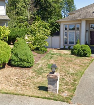 This project sparked my lawn care journey. let me help you achieve this for your property - This renovation started with the turf and I worked my way outward from it. The grass is the centerpiece and everything else is to highlight and accentuate the lawn. This isn't an Instagram filter. This is how colorful life really is. You can have this too but you keep calling Chuck and Jose 🤔