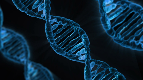 DNA Testing - DNA testing analyzes genetic material to identify relationships, assess ancestry, or detect genetic conditions and traits. DNA Testing - DNA testing analyzes genetic material to identify relationships, assess ancestry, or detect genetic conditions and traits.