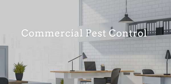 Commercial Pest Control - No matter what kind of business you run, insects can sneak in and cause a problem. 2 Nice Guys Termite & Pest Control offers commercial pest control services to treat a variety of insects. We'll assess your building, get rid of problem critters and ensure they don't come back.

We use eco-friendly solutions that are safe around pets, children, the elderly and sensitive equipment. Call 636-464-1411 to schedule our routine commercial pest control service today.