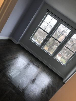 Move out cleaning Arlington - Move in cleaning in Arlington Move out cleaning Arlington - Move in cleaning in Arlington