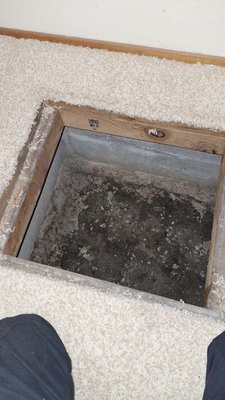 Crawl Space Crisis 08/2025 - When you complain about your job, please appreciate and respect the lengths our technicians go to ensure your home is a clean, safe place to live. Crawl Space Crisis 08/2025 - When you complain about your job, please appreciate and respect the lengths our technicians go to ensure your home is a clean, safe place to live.