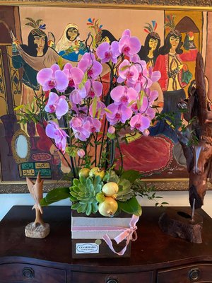 Arrangements - Cesar Haro Floral Design specializes in the use of flowers to create an ambiance of unique beauty and creativity; in addition, other plants are utilized to harness various aspects of Mother Nature. Live succulents and orchids are ever available, as well as artificial, realistic plants to include shrubbery, trees, and various flowers. Each of these plants are adorned in complimentary pots and vases and ready for sale as well as for rental. We can also recommend various plants to create a healthy, happy environment for your home, office, or businessspace. It would be our pleasure. Arrangements - Cesar Haro Floral Design specializes in the use of flowers to create an ambiance of unique beauty and creativity; in addition, other plants are utilized to harness various aspects of Mother Nature. Live succulents and orchids are ever available, as well as artificial, realistic plants to include shrubbery, trees, and various flowers. Each of these plants are adorned in complimentary pots and vases and ready for sale as well as for rental. We can also recommend various plants to create a healthy, happy environment for your home, office, or businessspace. It would be our pleasure.