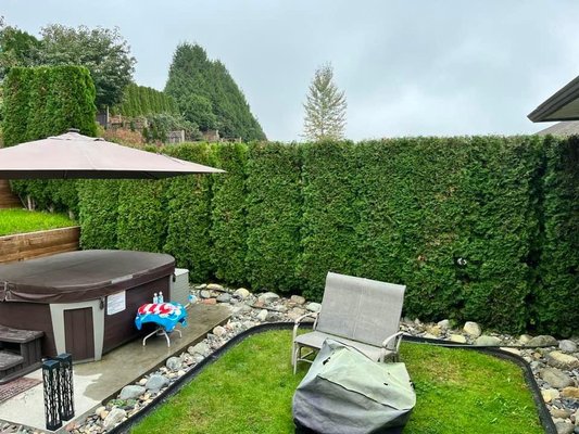 Backyard Oasis Hedge Trimming - This backyard oasis needed the hedges trimmed neatly and precisely to avoid any damage to the setup. The hedge was trimmed to complement the slope of the yard.