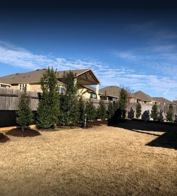 Hope Valley Tree Farm - Hope Valley Tree Farm is a family-owned and operated company in Bastrop, TX just 30 minutes east of Austin. We carry over 35 varieties of trees and privacy-screening plants. We also deliver and install! Open Monday - Saturday 8:00 am-4:00 pm. Please view our website for pricing and current inventory. Hope Valley Tree Farm - Hope Valley Tree Farm is a family-owned and operated company in Bastrop, TX just 30 minutes east of Austin. We carry over 35 varieties of trees and privacy-screening plants. We also deliver and install! Open Monday - Saturday 8:00 am-4:00 pm. Please view our website for pricing and current inventory.