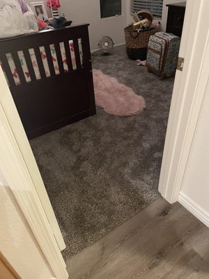 Carpet upgrade - Soft Luxury Carpet /w Memory Foam Padding Carpet upgrade - Soft Luxury Carpet /w Memory Foam Padding