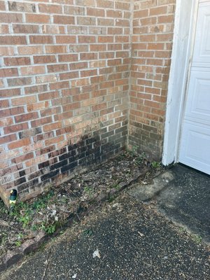 House wash - This customer was very satisfied with how we brought her house back to life. House wash - This customer was very satisfied with how we brought her house back to life.