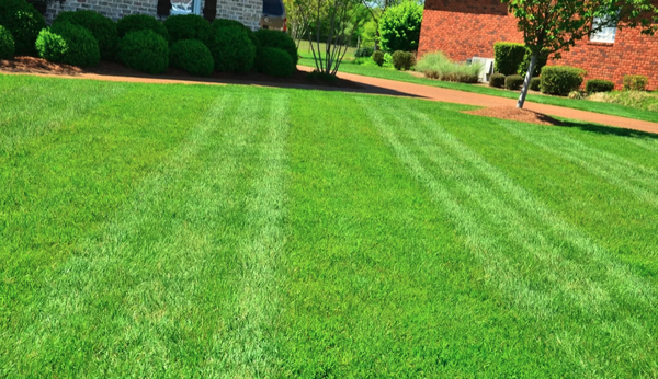 Lawn Fertilization and Weed Control from Hendricksen - Hendricksen Tree Care provides residential and commercial lawn fertilization and weed control throughout Chicagoland. These services include fertilizer applications at specific times during the growing season to help the lawn grow to its desired thickness. We will also help prevent the emergence of weeds with weed control applications. Lawn Fertilization and Weed Control from Hendricksen - Hendricksen Tree Care provides residential and commercial lawn fertilization and weed control throughout Chicagoland. These services include fertilizer applications at specific times during the growing season to help the lawn grow to its desired thickness. We will also help prevent the emergence of weeds with weed control applications.