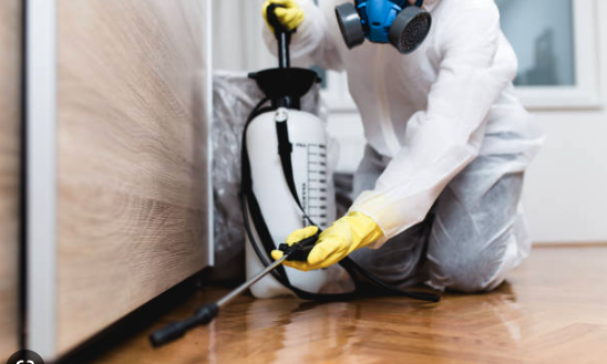 General Pest Control Services - MENTION YELP FOR 50% Off general pest control *with a one year maintenance agreement*
General Pest Control Services including: roaches, ants, silverfish, spiders, crickets, centipedes, millipedes, wasp nest removal, etc General Pest Control Services - MENTION YELP FOR 50% Off general pest control *with a one year maintenance agreement*
General Pest Control Services including: roaches, ants, silverfish, spiders, crickets, centipedes, millipedes, wasp nest removal, etc