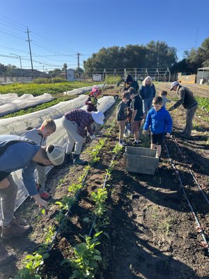 Service Learning Activities - Here at Almondale Academy, students learn about serving their community! Volunteering at places like OV FO Food Bank Farm and Almond Heights gives them hands-on practice serving others. With field trips to Citrus Heights Police Department and the Orangevale Fire Station, they learn about others who serve their community. Service Learning Activities - Here at Almondale Academy, students learn about serving their community! Volunteering at places like OV FO Food Bank Farm and Almond Heights gives them hands-on practice serving others. With field trips to Citrus Heights Police Department and the Orangevale Fire Station, they learn about others who serve their community.