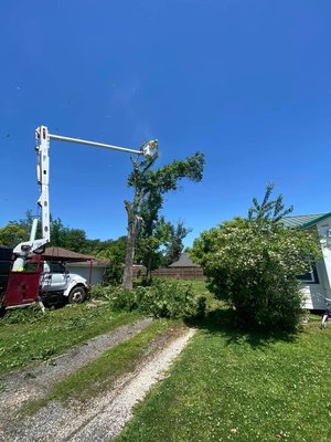 Tree Removal - With over 20 years of experience, we are dedicated to providing quality work at a fair price. We
specialize in commercial & residential tree services, brush & land clearing, storm damage cleanup,
handyman services and much more! Appointments available now, give us a call! Tree Removal - With over 20 years of experience, we are dedicated to providing quality work at a fair price. We
specialize in commercial & residential tree services, brush & land clearing, storm damage cleanup,
handyman services and much more! Appointments available now, give us a call!