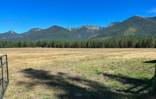 Land Clearing - We can develop your land with the intention of creating a potential use for agricultural purposes and many more! Land Clearing - We can develop your land with the intention of creating a potential use for agricultural purposes and many more!